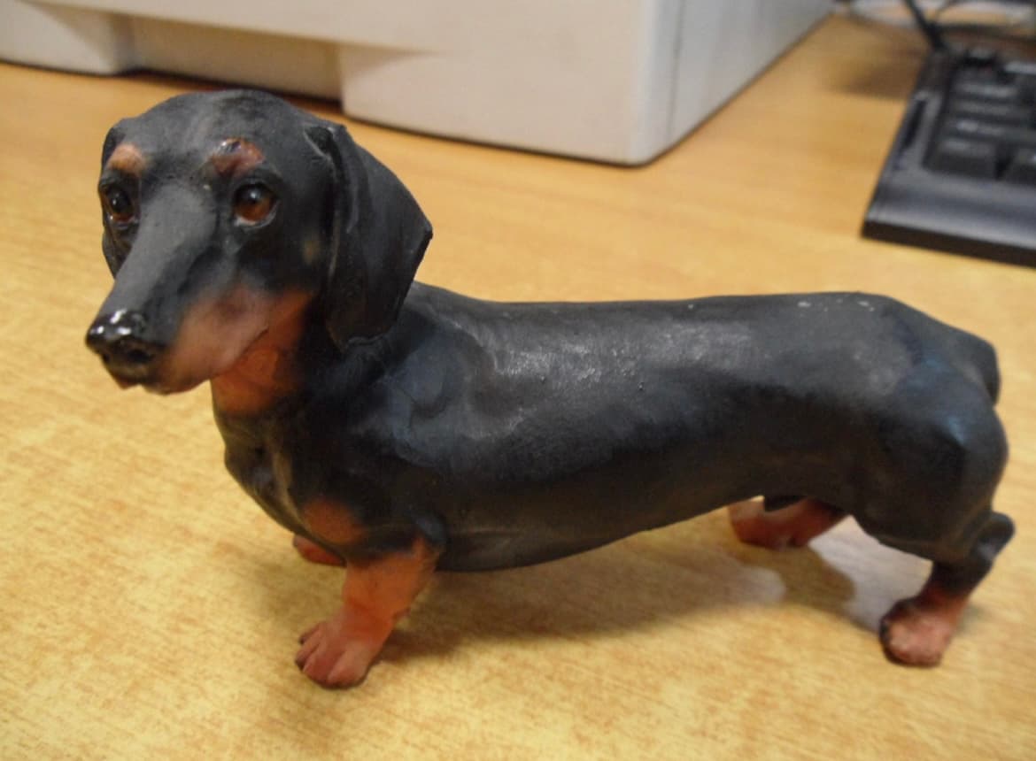 картинка длинной собачки